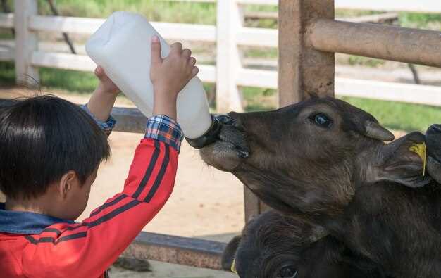 Аллергия на коровье молоко: альтернативные продукты для здоровья