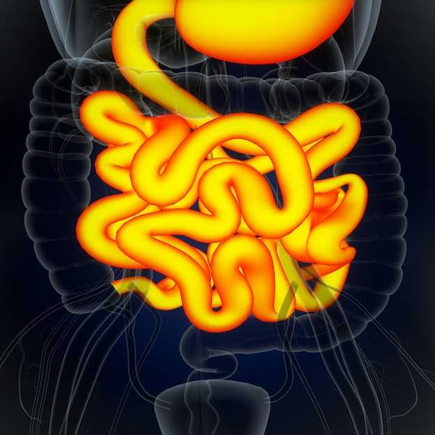 Вредные привычки и пищевые продукты, вызывающие скопление газов в желудочно-кишечном тракте